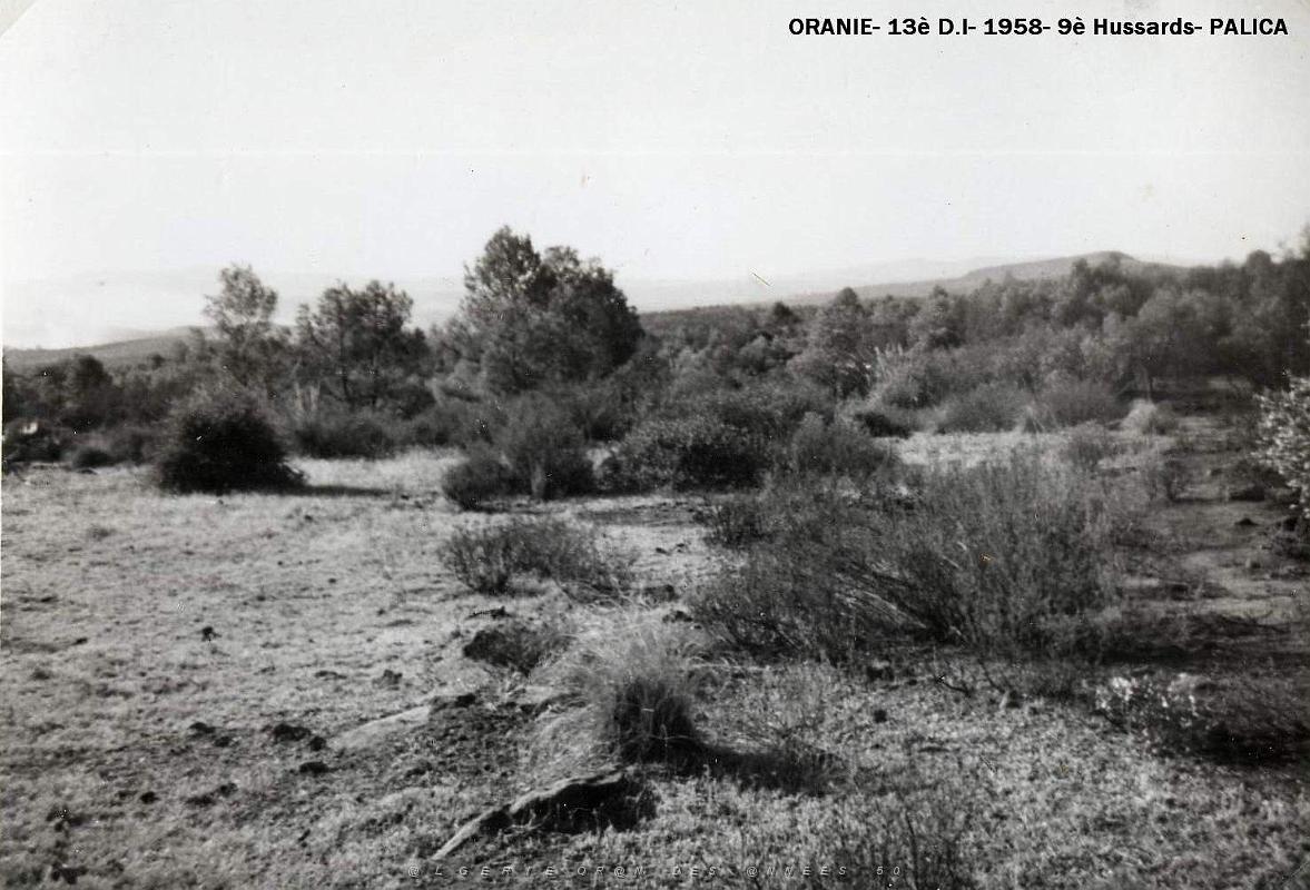 Palica - E- Divers 021.JPG